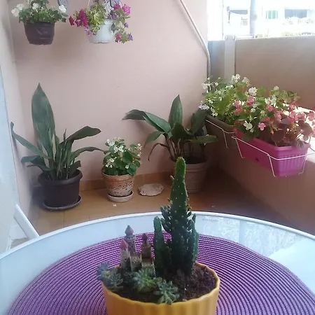 Apartment Maka شقة *